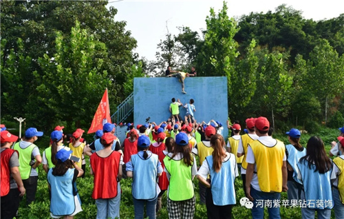 同心筑未来 明日更精彩—紫苹果钻石装饰团建活动