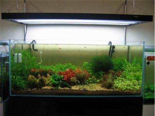 一款满意的生态鱼缸是怎样的 让宝鱼乐宠物用品告诉你
