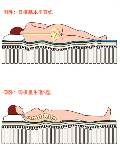 床垫升级怎么选？舒达、金可儿、西屋、丝涟、慕思五大主流品牌横评